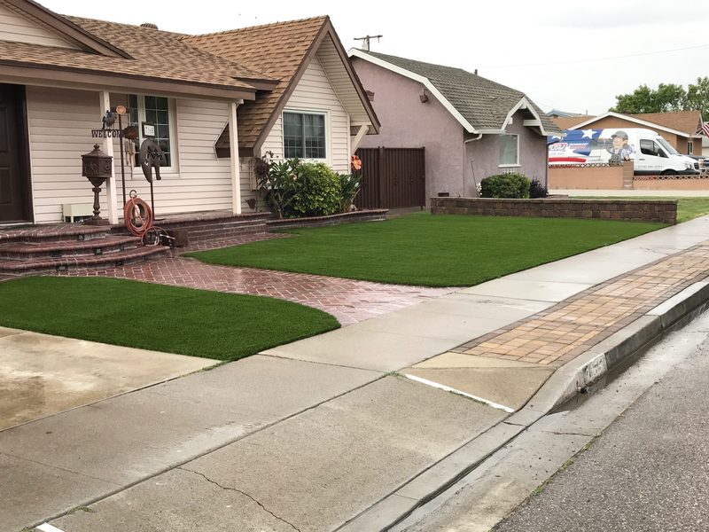 Front yard after turf
