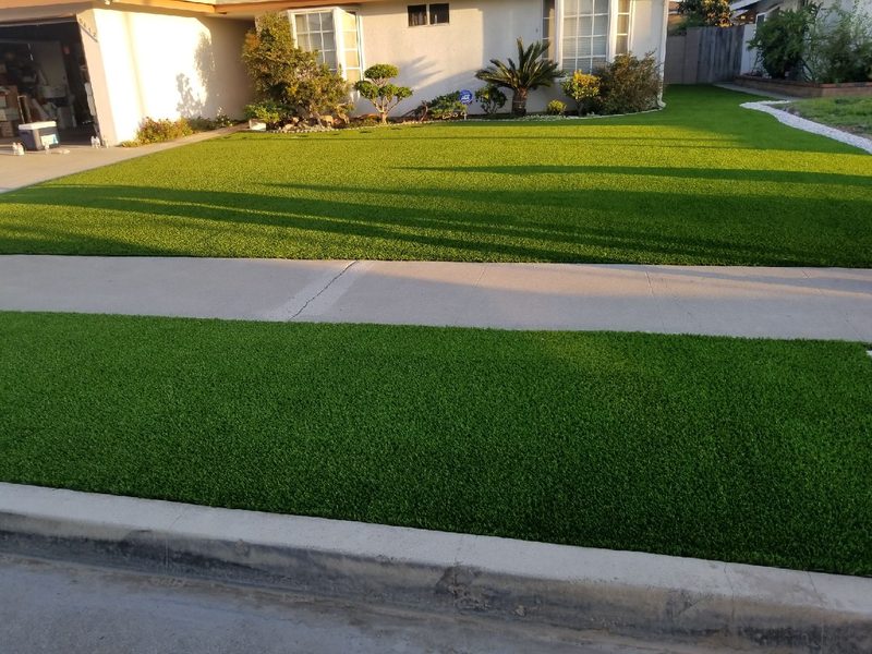 Front yard after turf