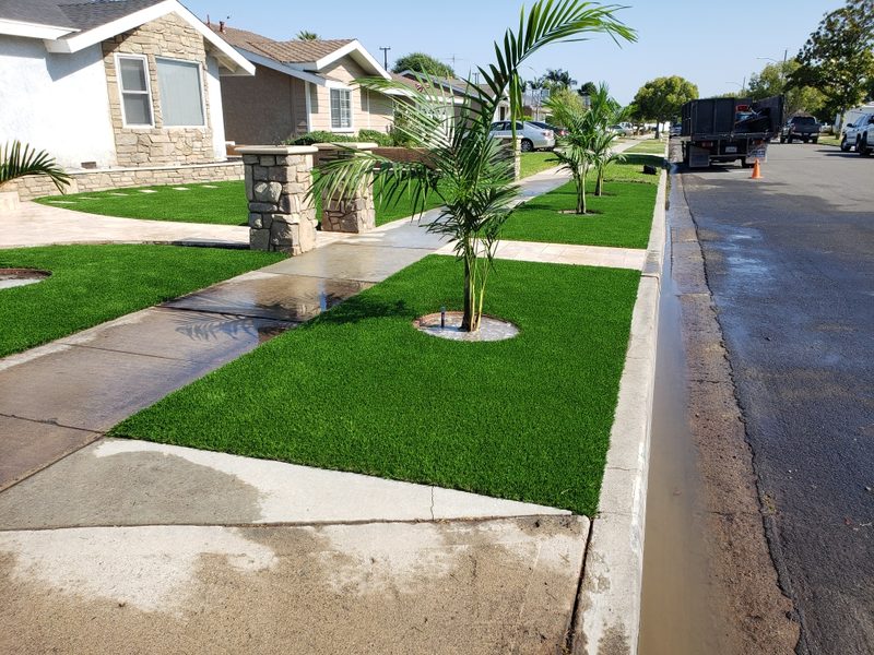Front yard after turf