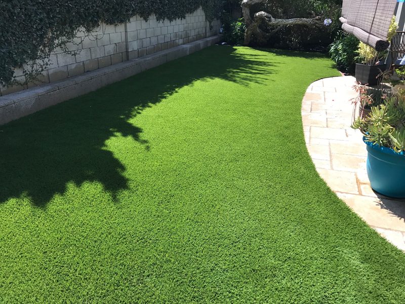 Backyard after turf