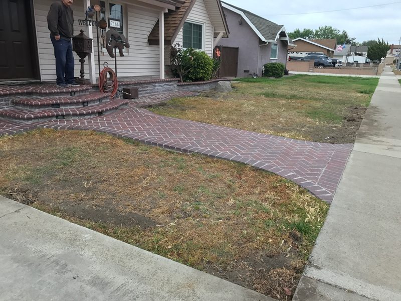 Front yard before turf