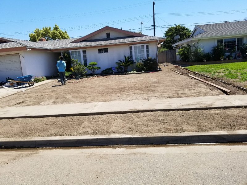 Front yard before turf