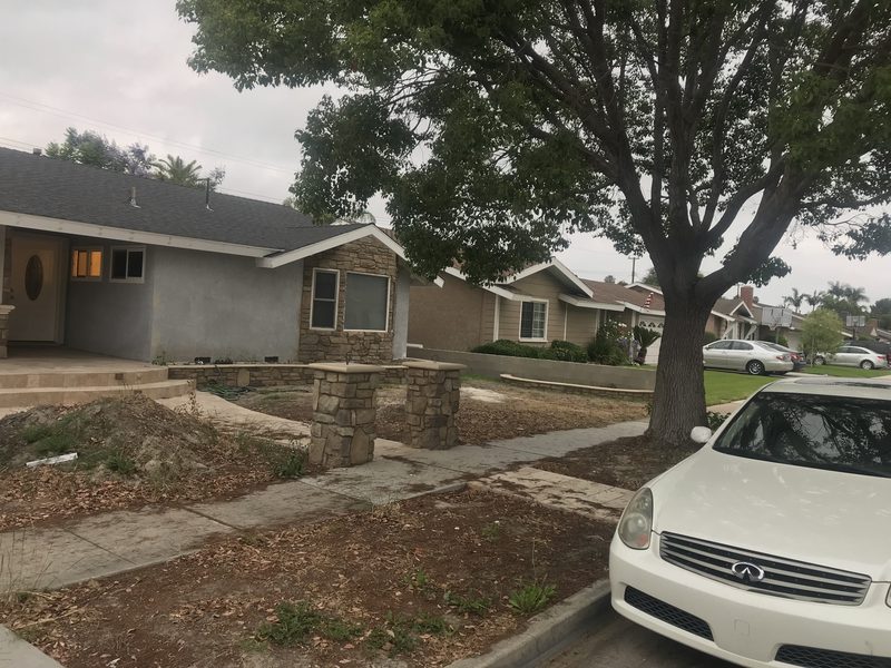 Front yard before turf