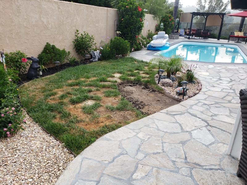 Pool area before turf